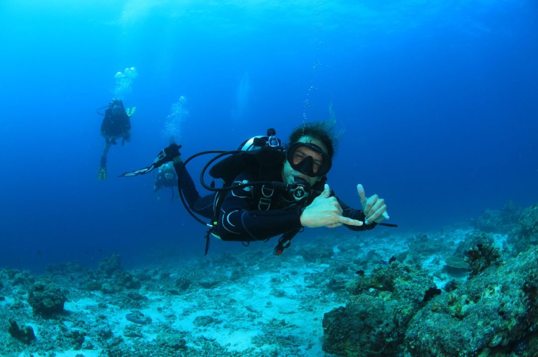 Scuba Diving In The Maldives | Resort News & Things To Do In The ...